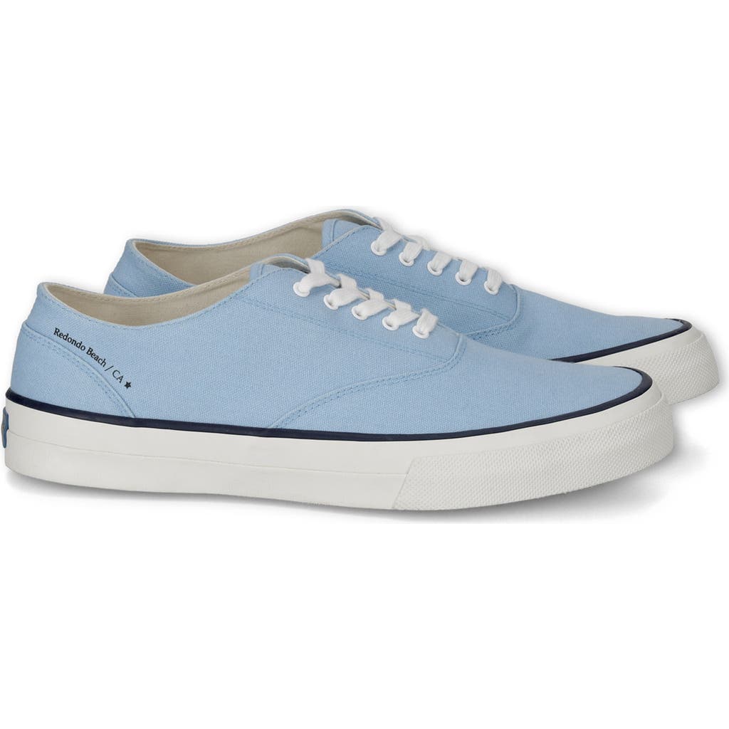 Fortela Redondo Canvas Sneakers By Mr. Fliks In Blue