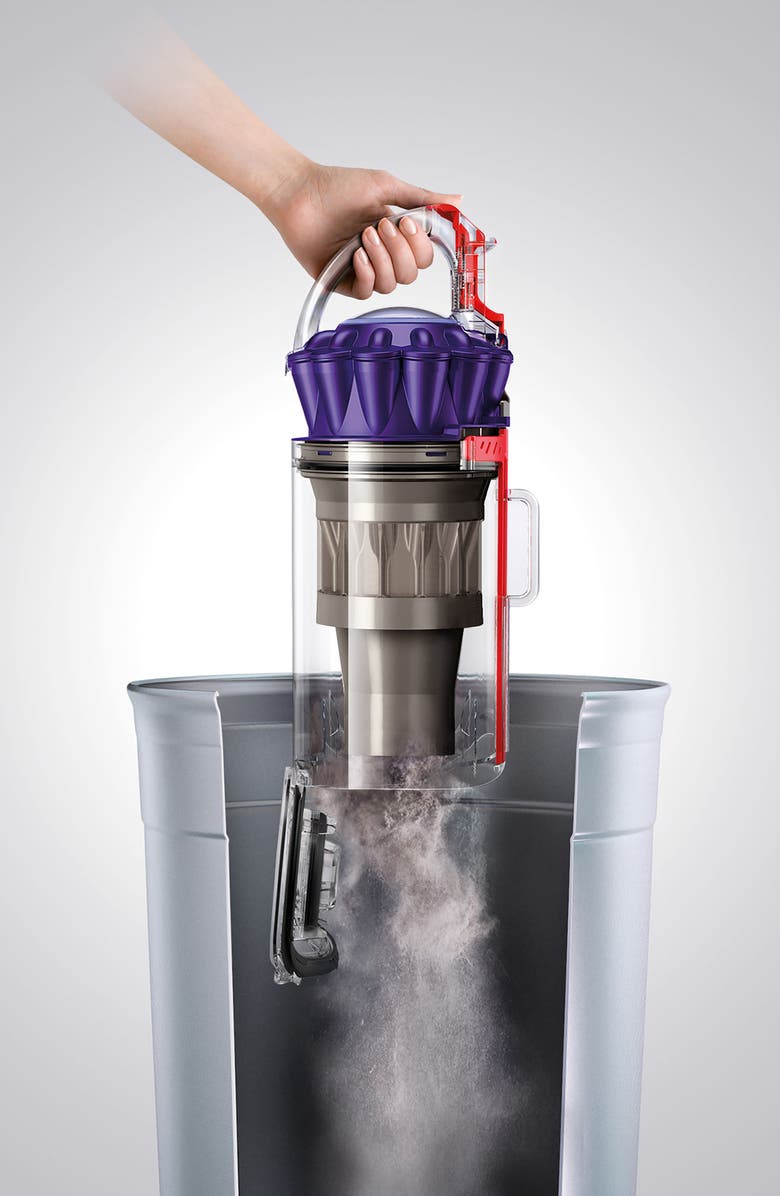 Dyson Ball Animal 2 Upright Vacuum Cleaner, Alternate, color, 