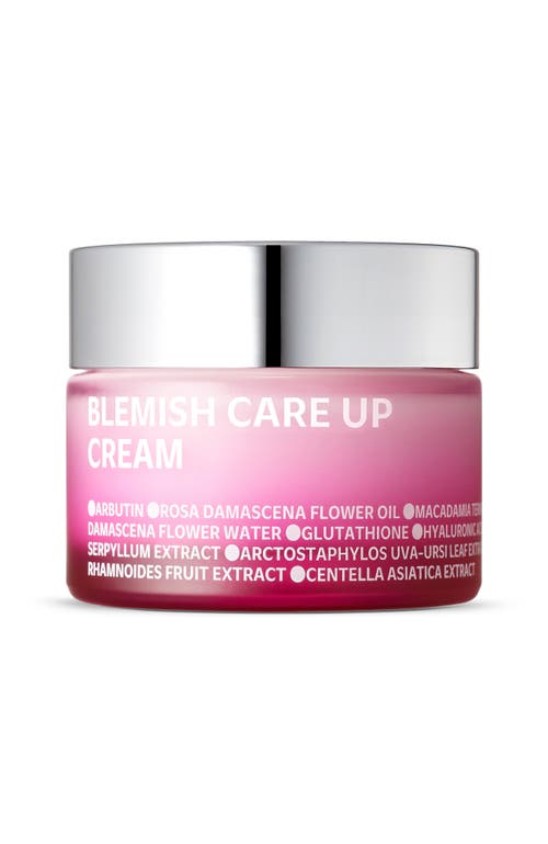 Isoi Blemish Care Up Cream 55ml