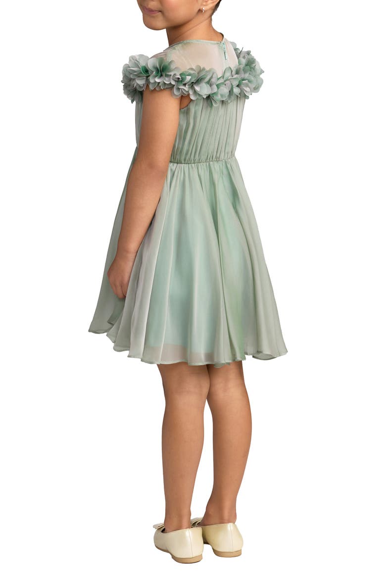 Girls Floral Applique Chiffon A-Line Dress, Alternate, color, Sage