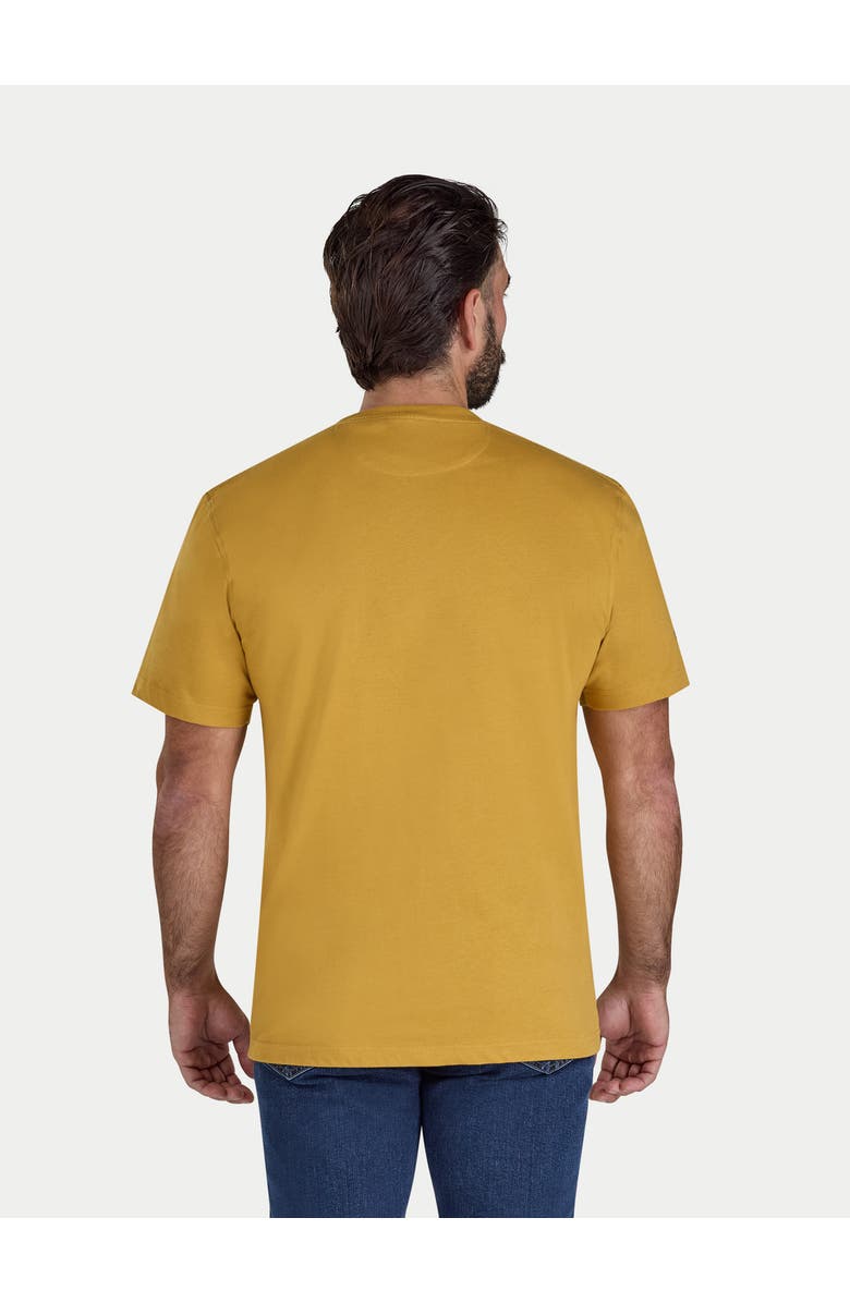 Raging Bull Mountain Adventures Printed T-Shirt, Alternate, color, Mustard