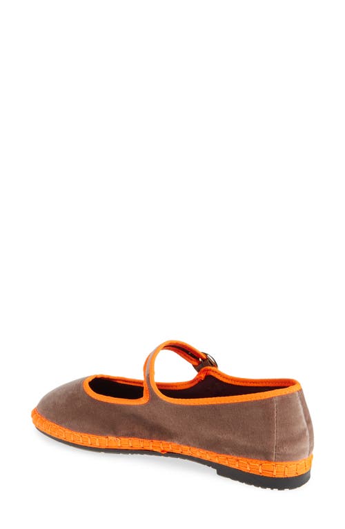 Flabelus Velvet Cora Mary Janes In Brown