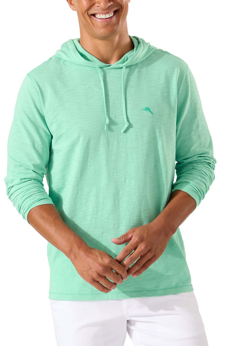 Tommy Bahama Bali Beach Pullover Hoodie, Main, color, Gentle Breeze