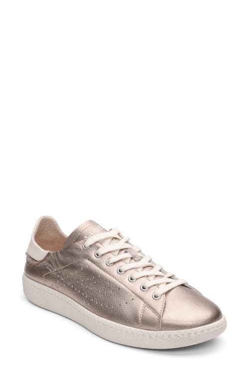 Ash Super Low Top Sneaker In Champagne