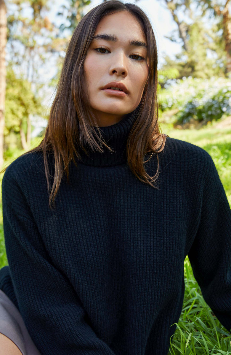Italic Ellie Chunky Cashmere Turtleneck Sweater, Alternate, color, 