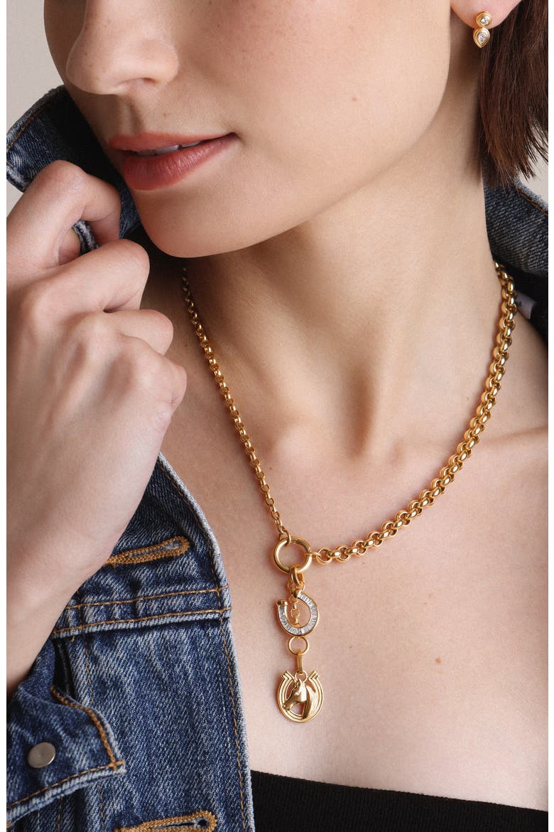 Half & Half 14K Gold Rolo Chain Lariat Necklace, Alternate, color, 14K YELLOW GOLD