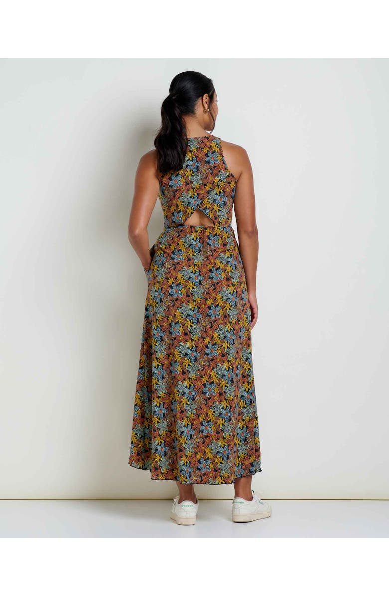 Toad & Co Sunkissed Maxi Dress, Alternate, color,