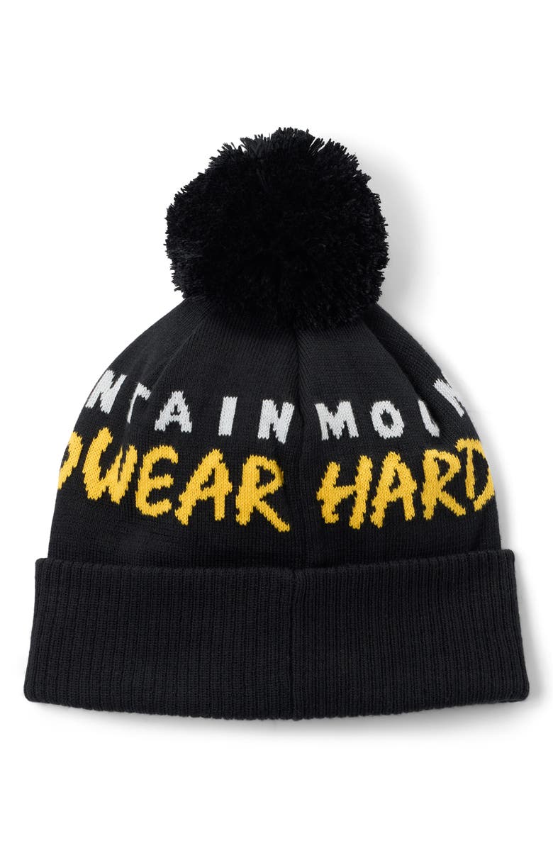 Mountain Hardwear Aprespro Pom Beanie, Alternate, color, Black