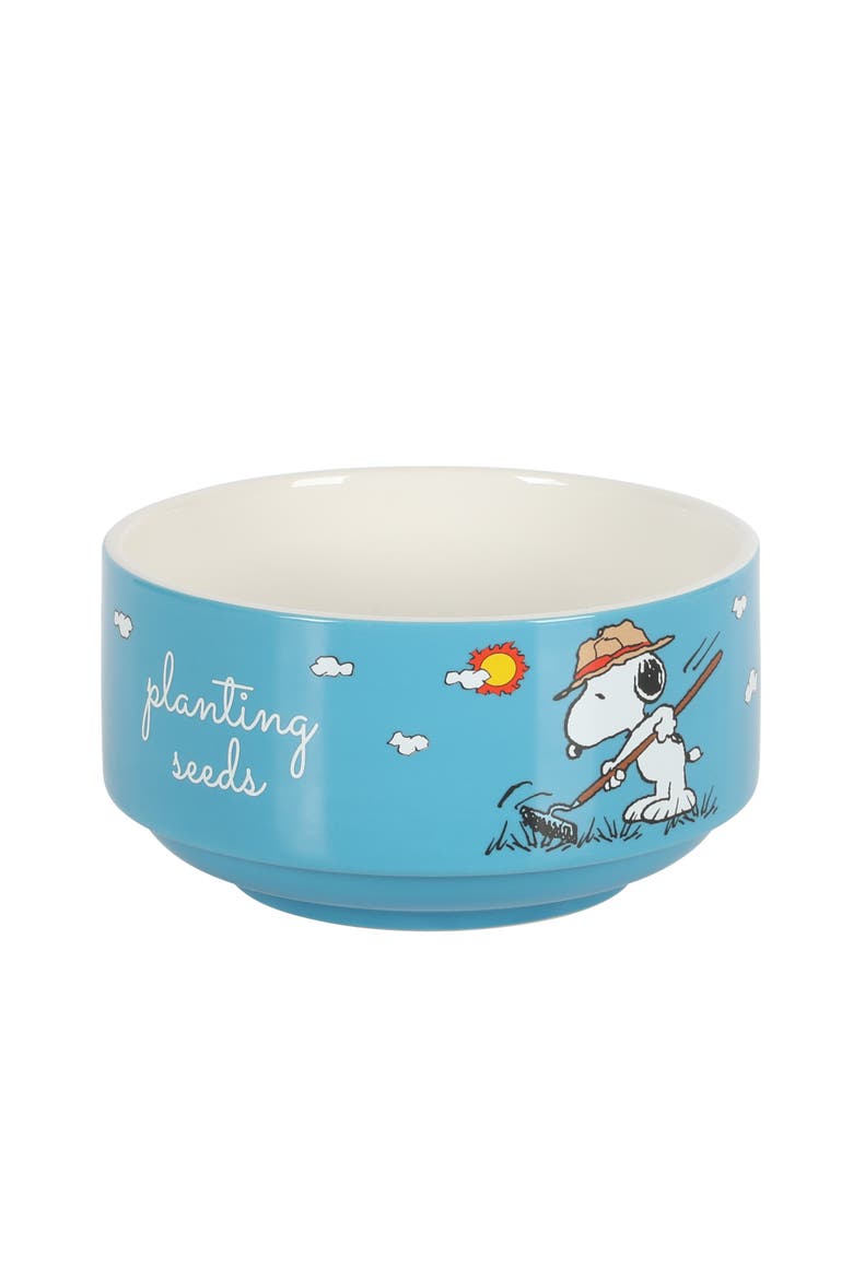 Snoopy's Garden Patch Stackable Stoneware Bowl Set, Alternate, color, Assorted Colors