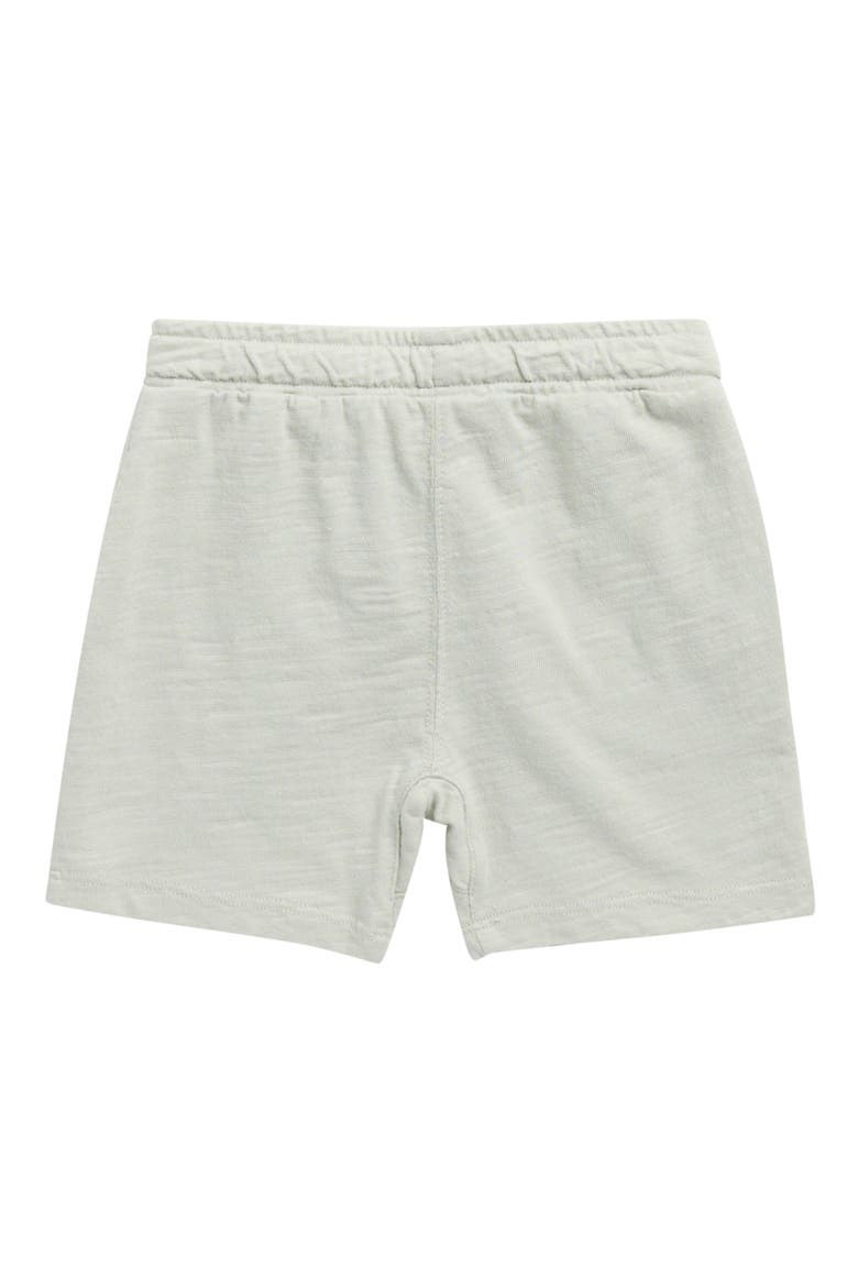 Sam Slub Cotton Shorts, Alternate, color, SEAFOAM