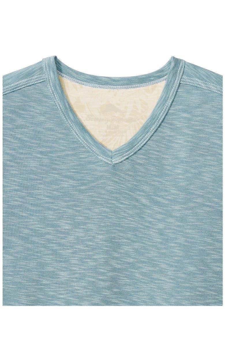 Palmetto Paradise V-Neck T-Shirt, Alternate, color, AT SEA