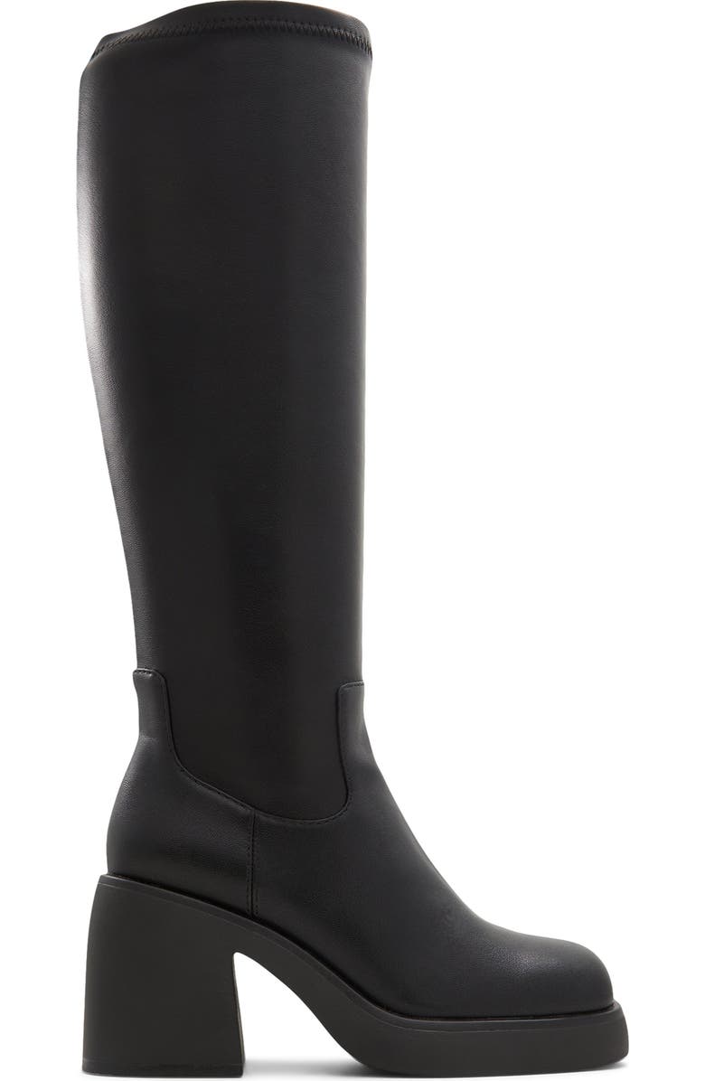 ALDO Auster Knee High Boot, Alternate, color,