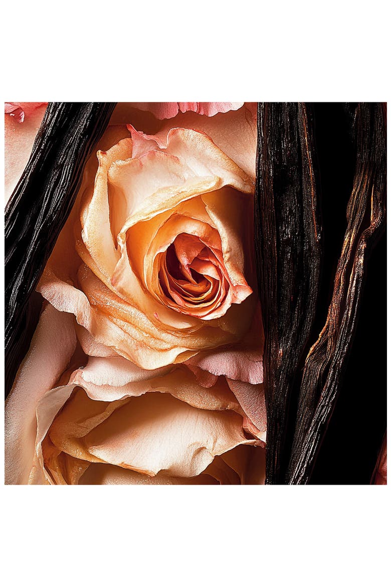 Tiara Parfum, Alternate, color, NO COLOR