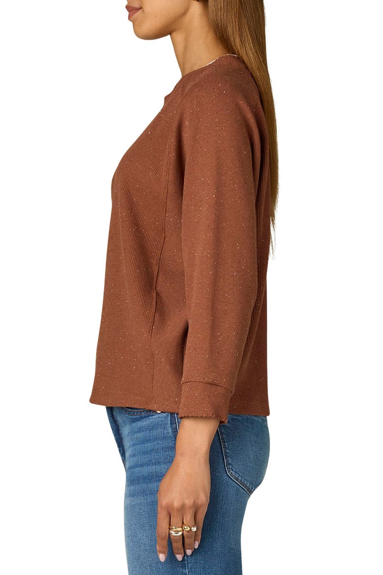 Raglan Sleeve Rib Top, Alternate, color, TOASTED CI