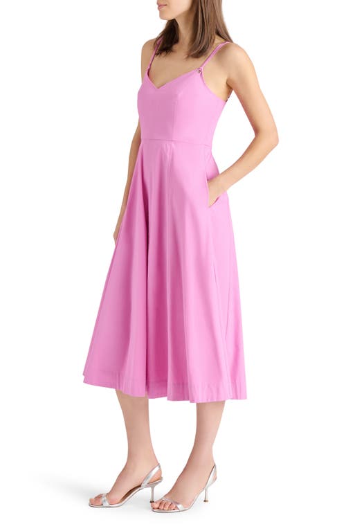 Steve Madden Harley Fit & Flare Midi Dress In Crocus