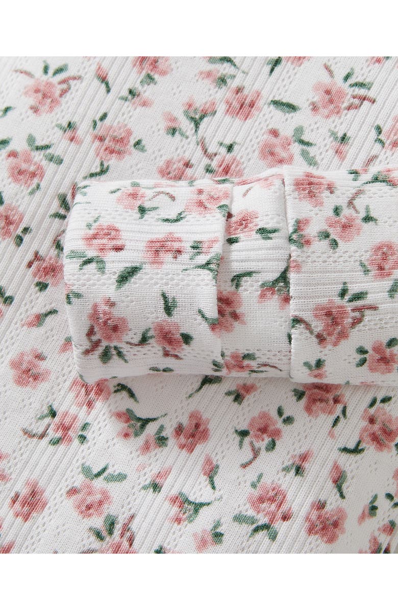 Petite Plume Set of 2 Assorted Pima Cotton Pointelle Knit Bodysuits, Alternate, color, Pink