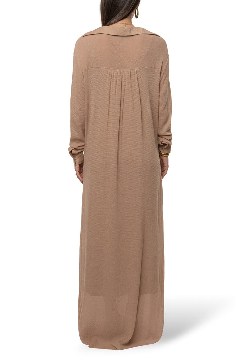 Savanna Cowl Neck Long Sleeve Maxi Dress, Alternate, color, BEIGE