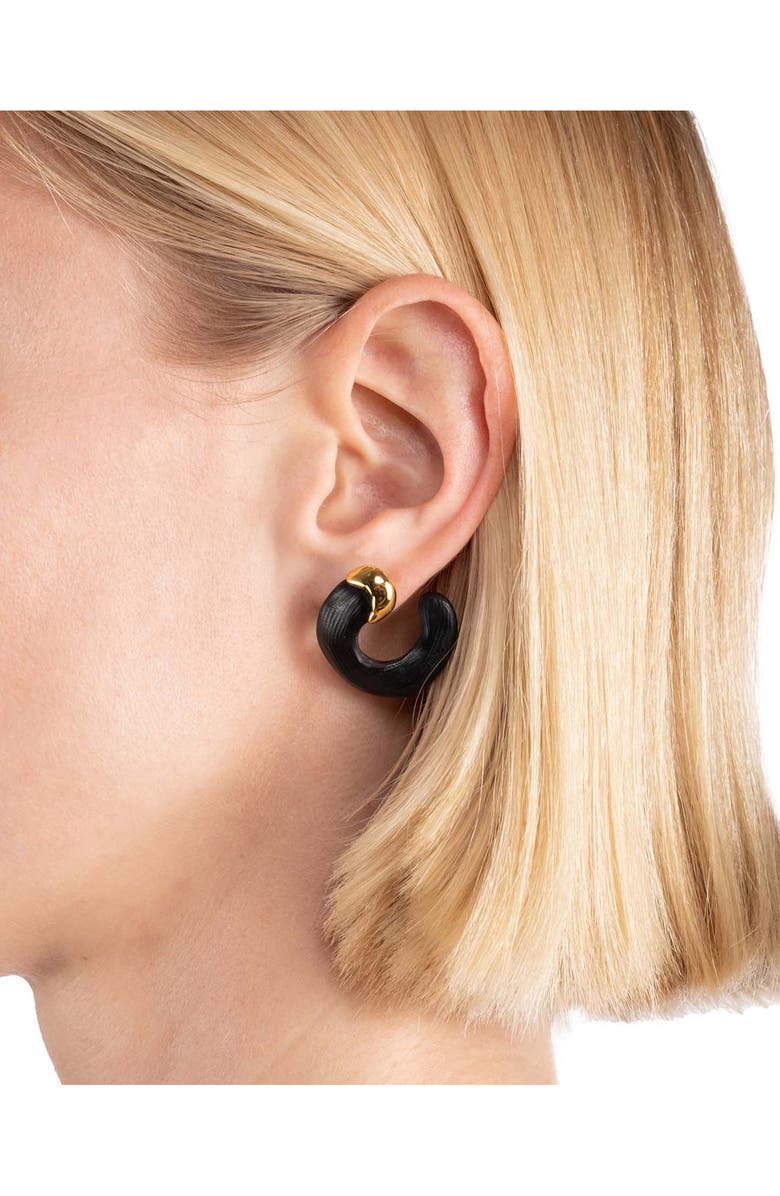 Alexis Bittar Lucite<sup>®</sup> Molten Frontal Hoop Earrings, Alternate, color,