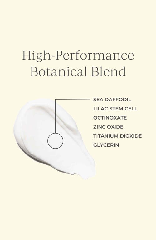 Olivia Quido Skincare Broad Spectrum Sunscreen Spf 50 In Nude