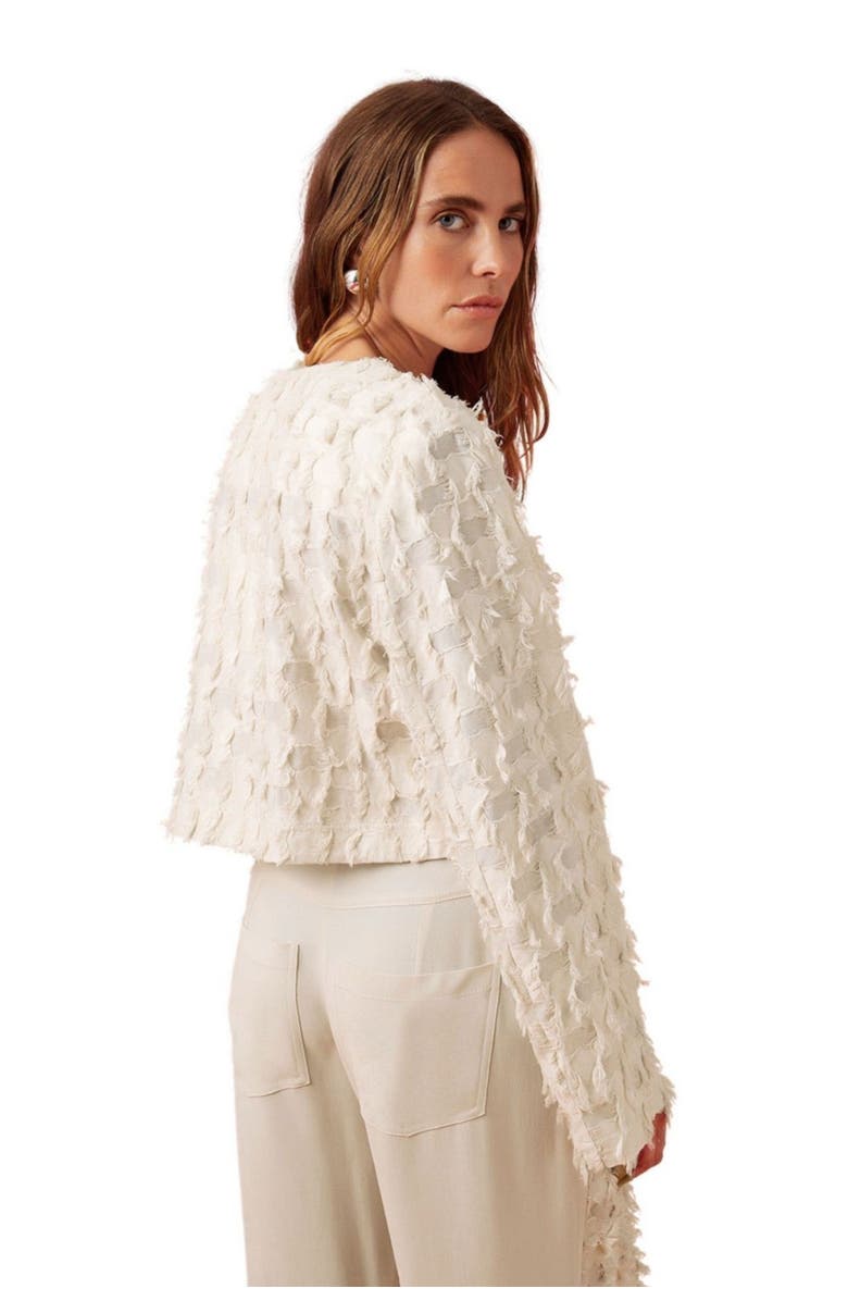 Nocturne Tasseled Wide Leg Pants, Alternate, color, 