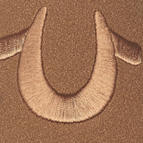 TRUE RELIGION ASAP LOGO SLIDE 
