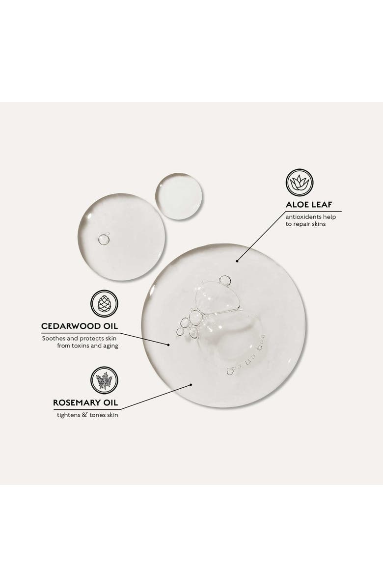 Caswell-Massey All-in-One Body Wash, Alternate, color, 12Oz