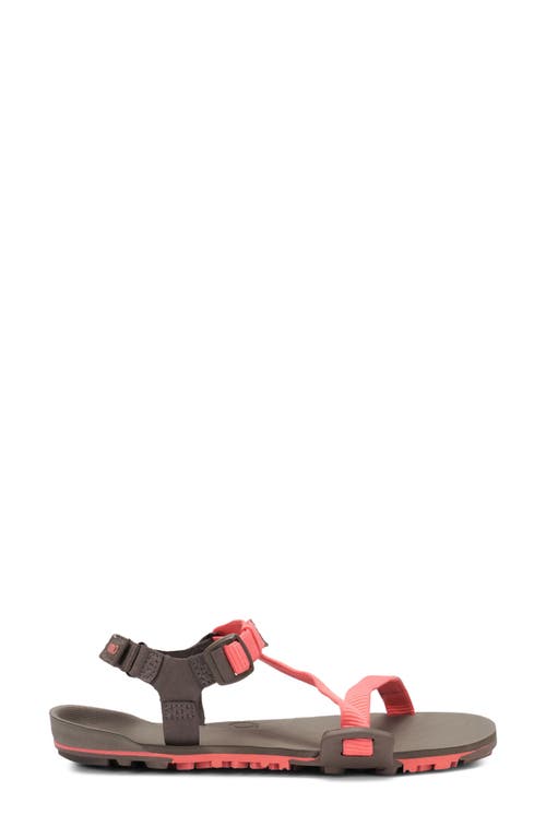 Xero Shoes Z-trail Ev Barefoot Hiking/running Sandal In Multi