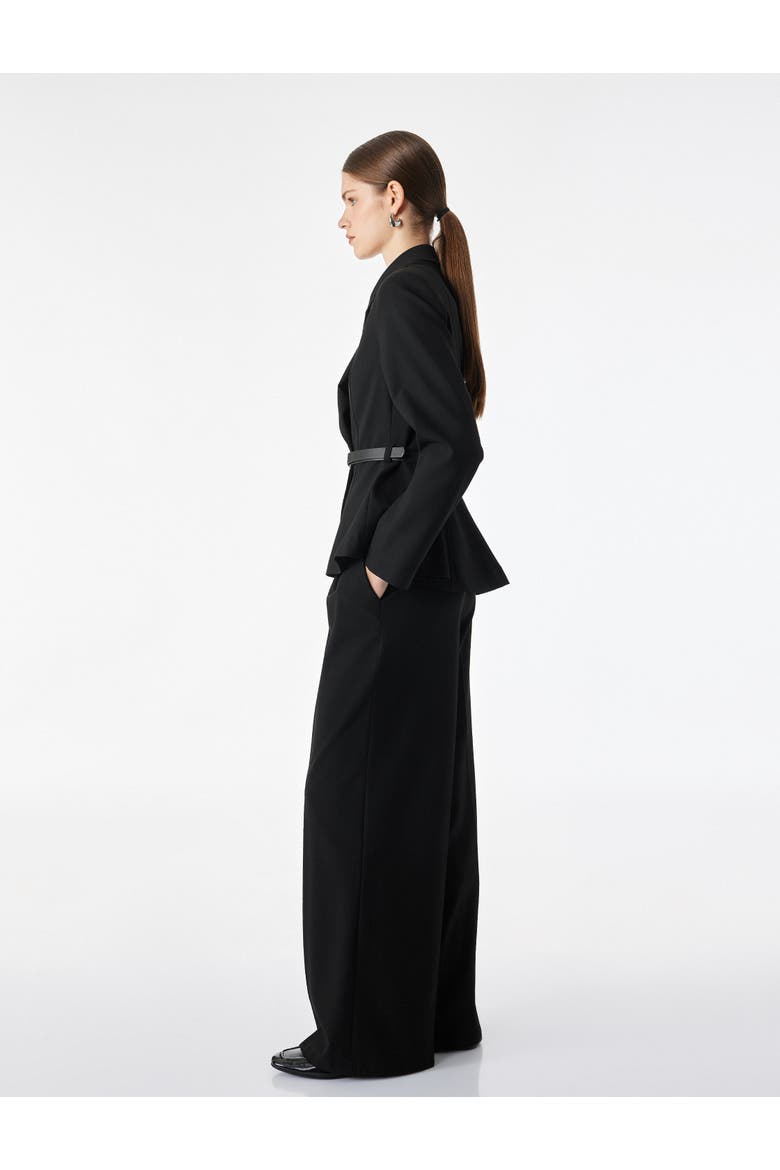 Blazer Jacket, Alternate, color, BLACK