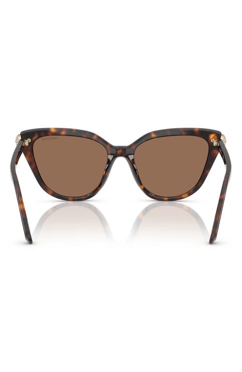 Swarovski Sk6038 Cat-eye Embellished Sunglasses In Havana/dark Brown