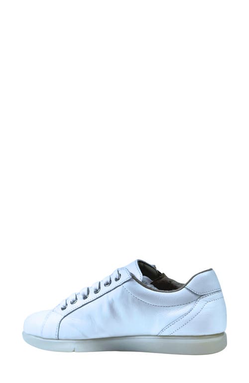 Saydo Zany Sneaker In White W/ice