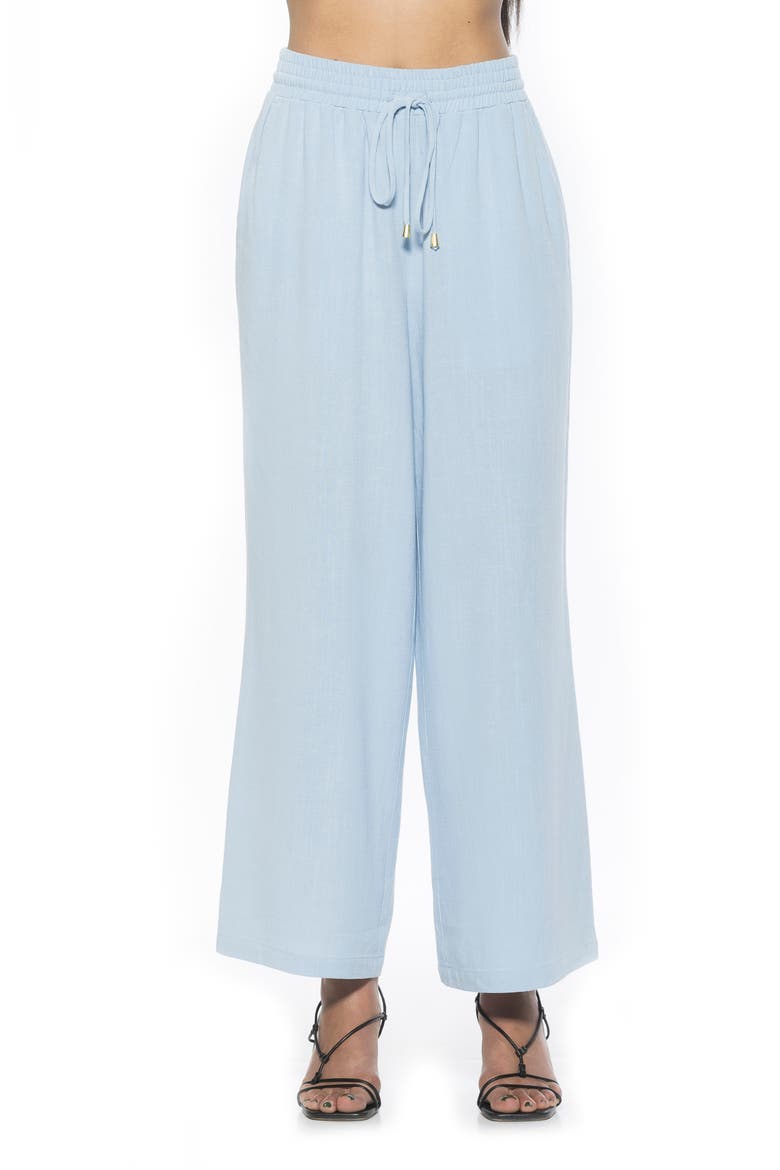 Xila Wide Leg Pants, Main, color, BLUE