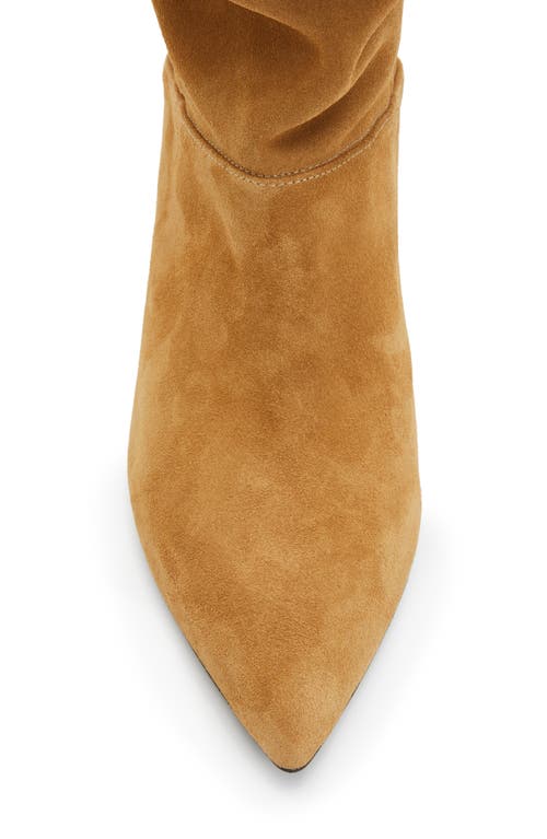 Allsaints Orlana Pointed Toe Boot In Brown