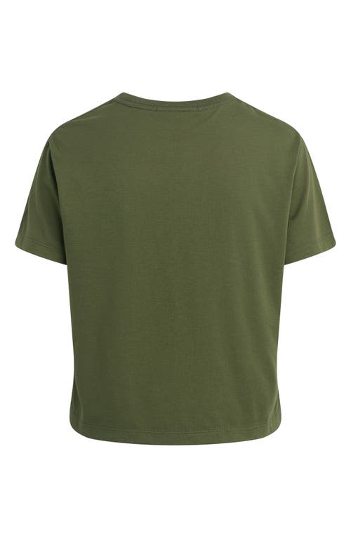 Favorite Daughter Cropped Collegiate Tee In Green