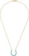 NATIVE GEM Lucky Turquoise Horseshoe Necklace
