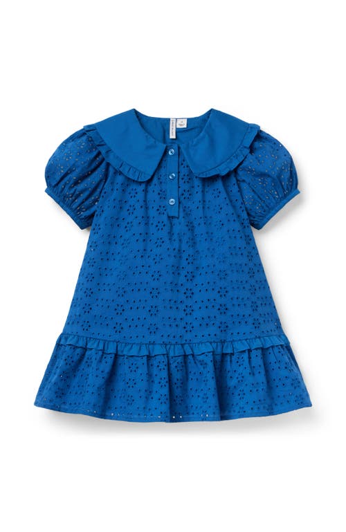 Janie And Jack Eyelet Collared Dress In Blue