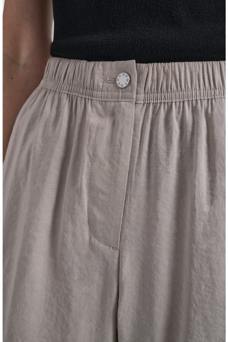 Sueded Fuji Cargo Pants, Alternate, color, PEBBLE