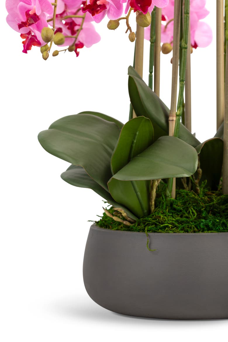 Brianna RealTouch Orchid Arrangement, Alternate, color, Periwinkle