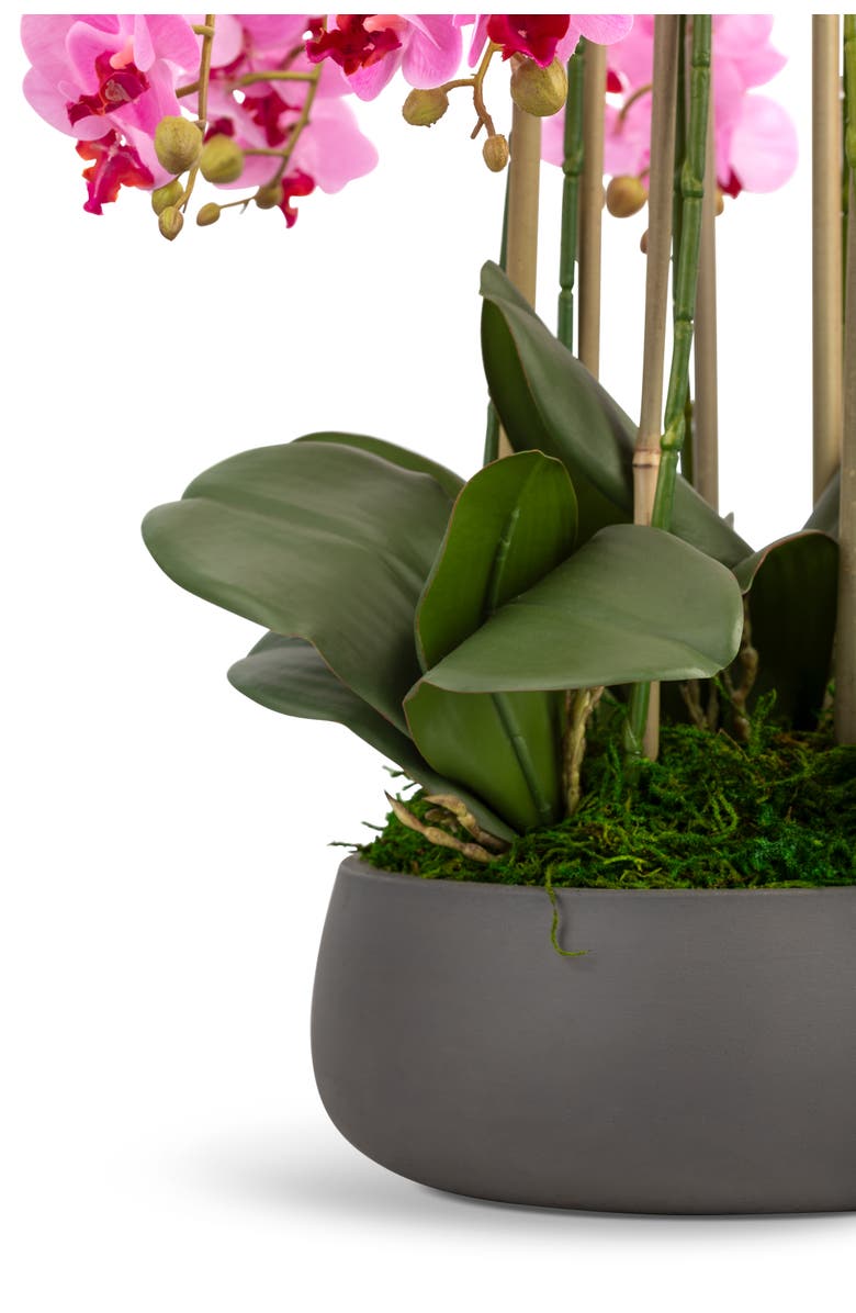 CocoBella Brianna RealTouch Orchid Arrangement, Alternate, color, Periwinkle