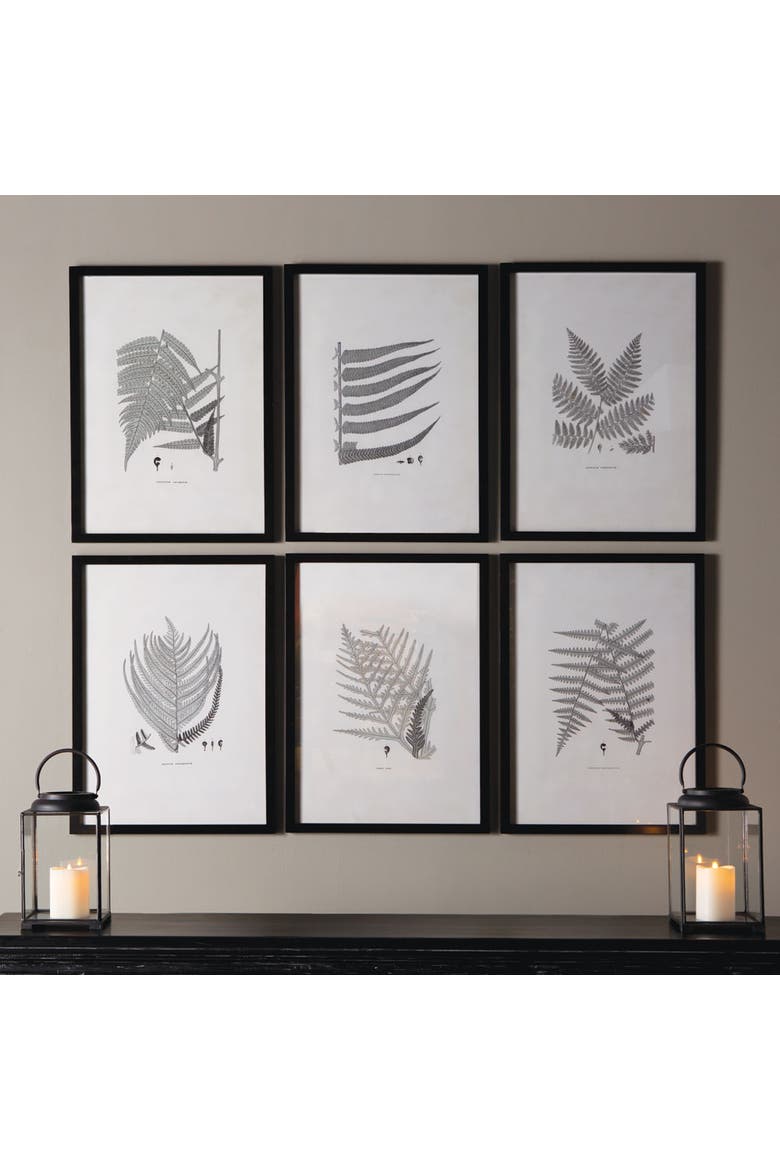 Framed Gray-Tone Fern Prints Set of 6, Alternate, color, Black