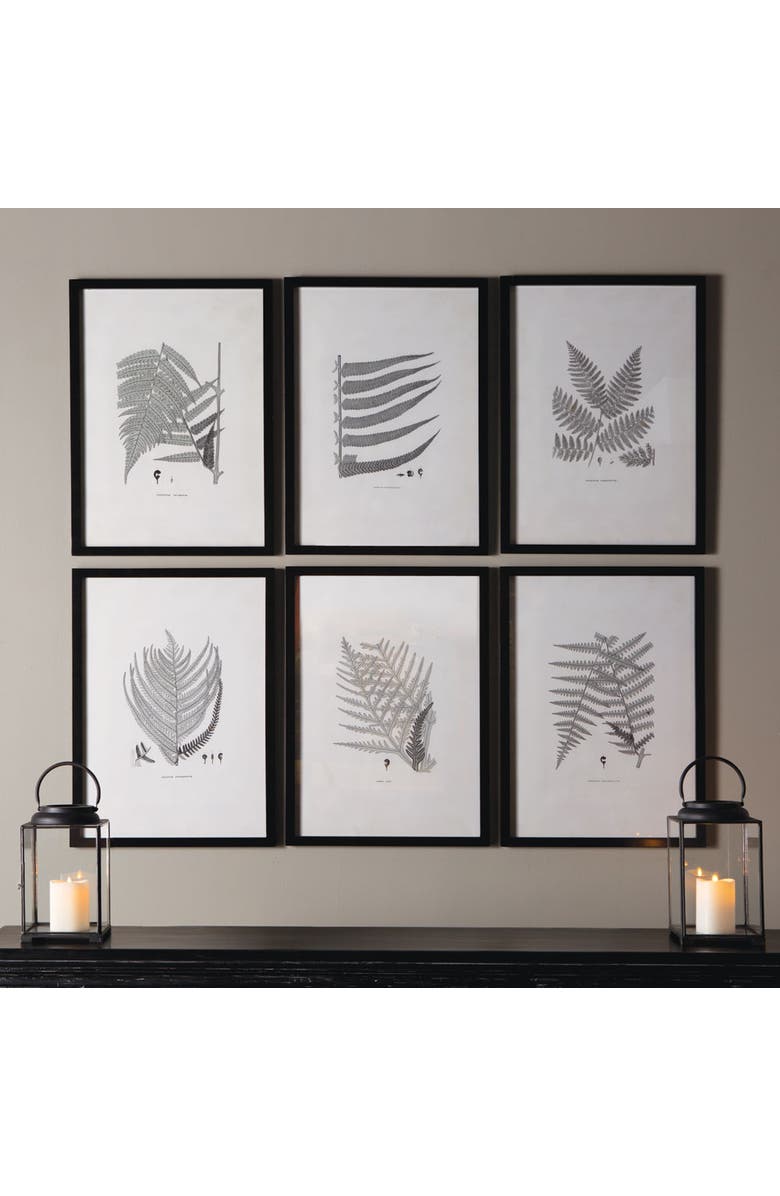 Napa Home & Garden Framed Gray-Tone Fern Prints Set of 6, Alternate, color, Black
