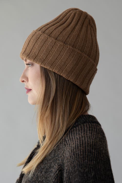 Sskein Ribbed Beanie In Brown