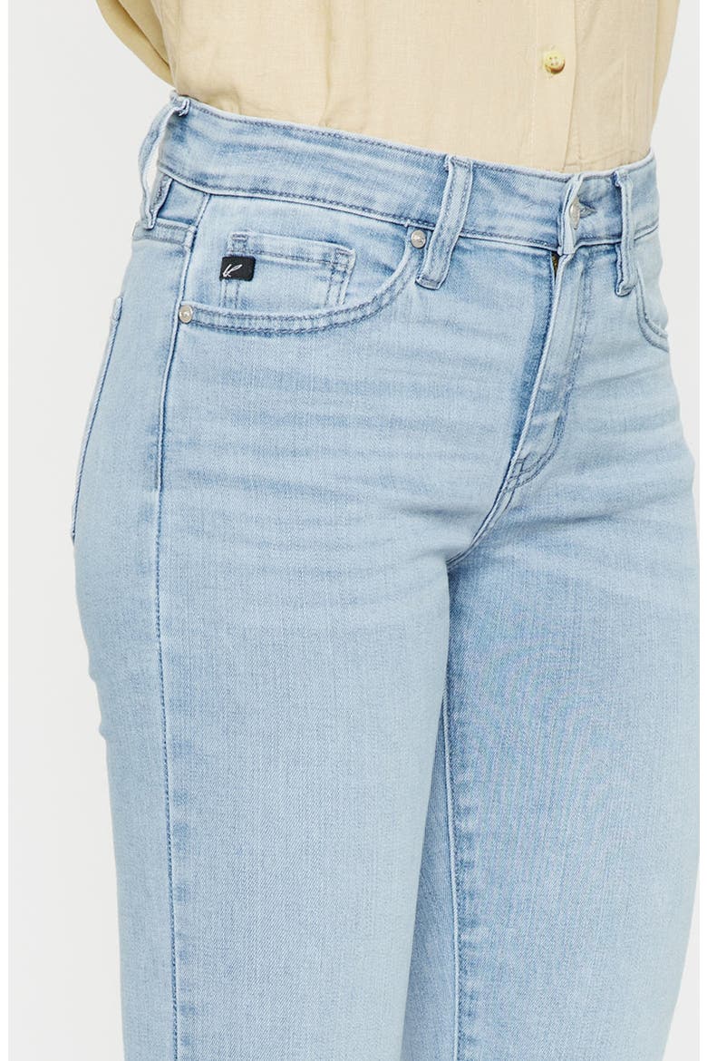 Willowbrook Essentials Mid Rise Ankle Skinny Jeans, Alternate, color, Light Wash