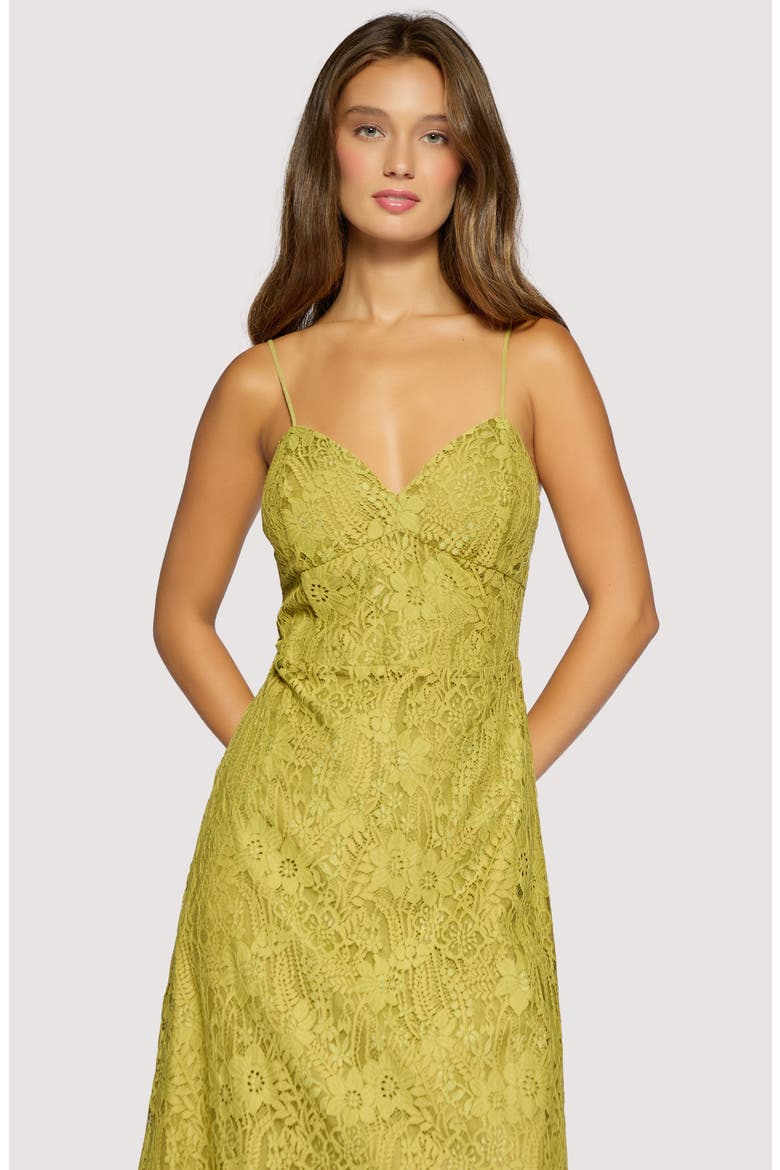 Serafina Floral Lace Cotton Blend Midi Dress, Alternate, color, GREEN