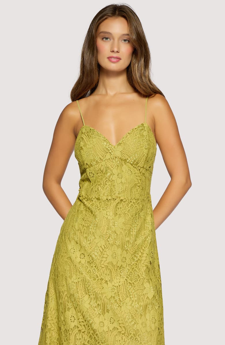 Lost + Wander Serafina Floral Lace Cotton Blend Midi Dress, Alternate, color, Green