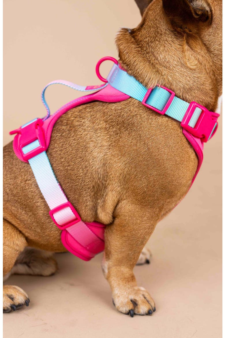 Stasia Dog Harness, Alternate, color, Stasia