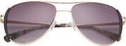 Ted Baker London 58mm Full Rim Aviator Sunglasses