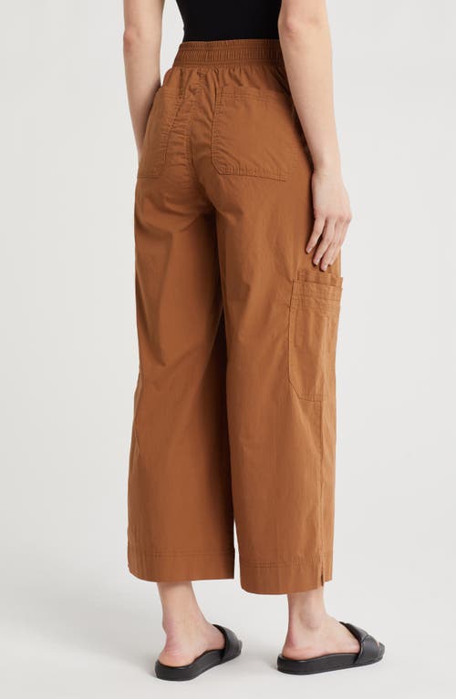 Democracy Pull-on Cargo Pants In Nutmeg