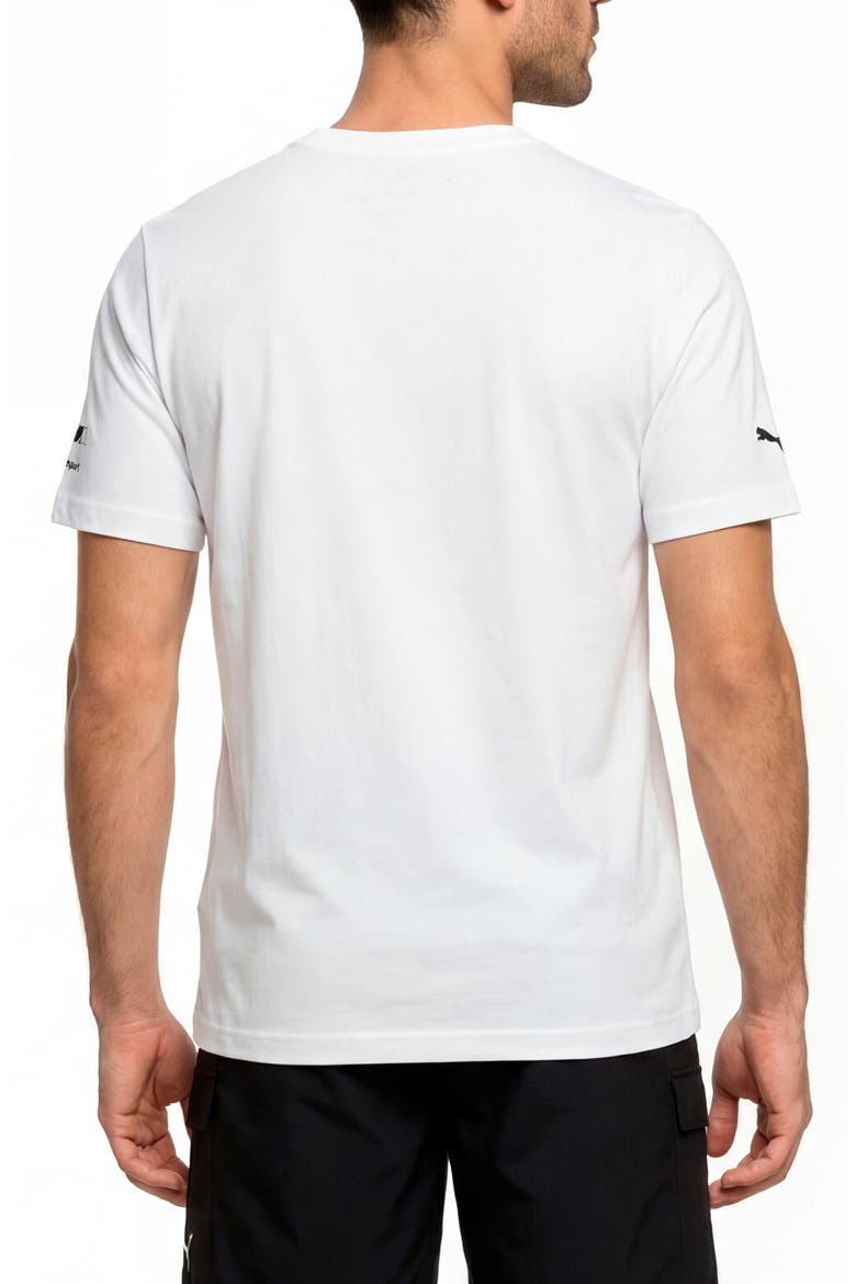 BMW M Motorsport Cotton Graphic T-Shirt, Alternate, color, SILVER MIST