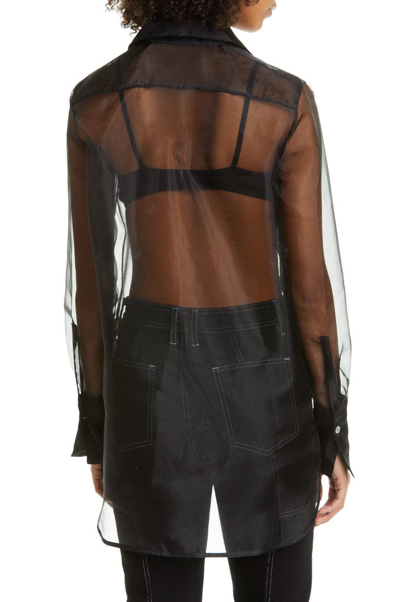 Rowena Sheer Long Sleeve Shirt, Alternate, color, BLACK