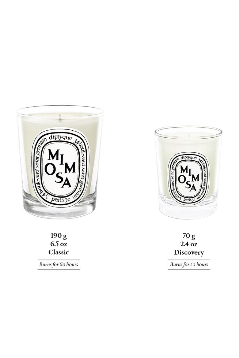 Mimosa Scented Candle, Alternate, color, NO COLOR